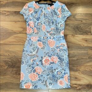 Banana Republic Dress Size 6P